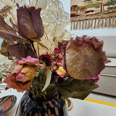 The Station - House Of Tourists