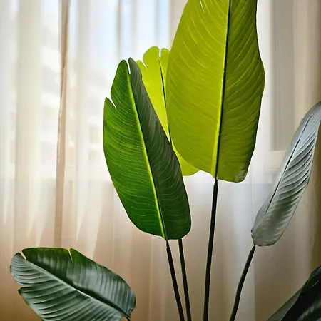 The Station - House Of Tourists Apartman *