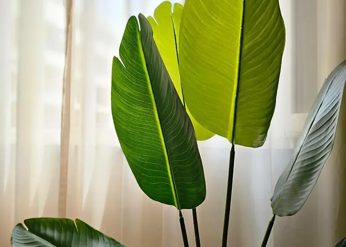 The Station - House Of Tourists Appartamento *